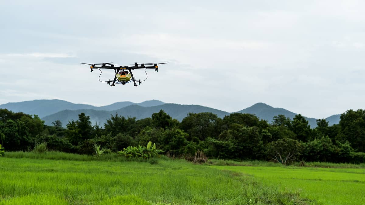 agricultura precision dron