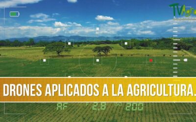 Descubre cómo los drones están revolucionando la agricultura: beneficios, usos y casos de éxito